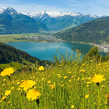 Glacier View 公寓 *